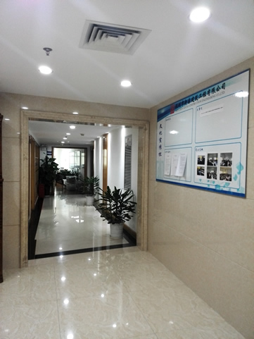 Head Office